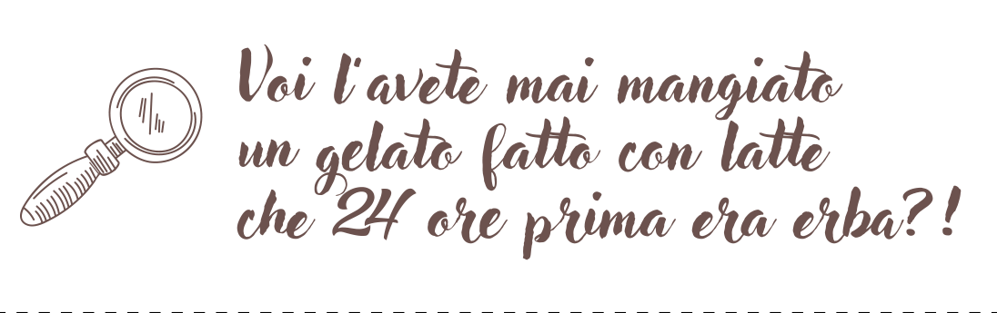brigne-gelateria-borghetto-castigamatti-avete-mangiato