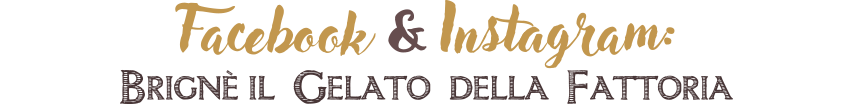 brigne-gelateria-borghetto-social-gelateria Facebook & Instagram