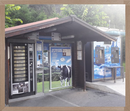 brigne-gelateria-borghetto-castigamatti-distributori-01 Mucche dell'azienda agricola
