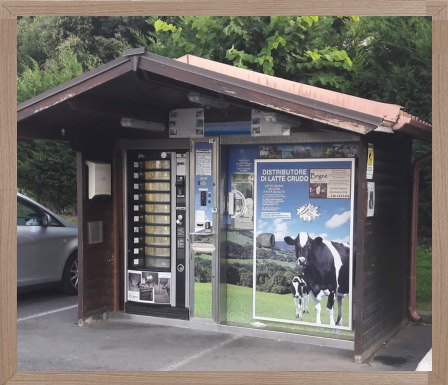 brigne-gelateria-borghetto-castigamatti-distributori-03 Mucche dell'azienda agricola
