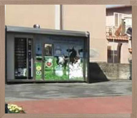 brigne-gelateria-borghetto-castigamatti-distributori-06 Fasi di lavorazione formaggi