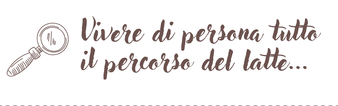 brigne-gelateria-borghetto-castigamatti-vivere-persona